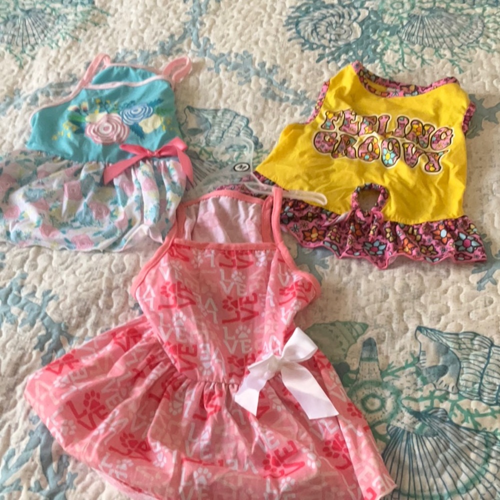 Colorful Dog Dress Set